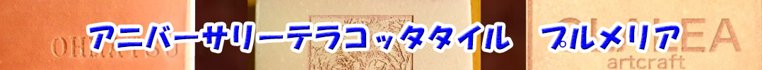Ajo[T[eRb^^C@vA