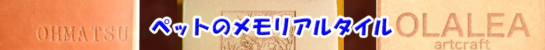 ybg̃A^C
